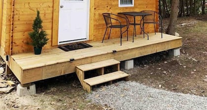 Fantastic Rustic Lakefront Cabin with Barbecue in Kawartha Lakes, Ontario