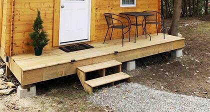 Fantastic Rustic Lakefront Cabin with Barbecue in Kawartha Lakes, Ontario