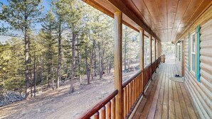 A wooden porch with a view of a forest. - Meandering Moose Cabin - Secluded Wood Cabin w/ Big Deck (Florissant)