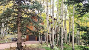 A log cabin surrounded by birch trees. - Pikes Peak Retreat - Cabin w/ Pikes Peak & Forest Access (Divide)