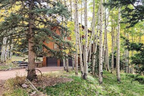 A log cabin surrounded by birch trees. - Pikes Peak Retreat - Cabin w/ Pikes Peak & Forest Access (Divide)