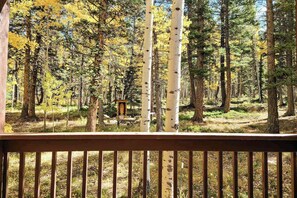 A forested area with a wooden deck and a small structure. - Pikes Peak Retreat - Cabin w/ Pikes Peak & Forest Access (Divide)