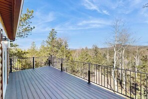 Eine Holzterrasse mit Metallgeländer, mit Blick auf eine bewaldete Landschaft.