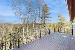 Eine Holzterrasse mit Metallgeländer, umgeben von Bäumen und blauem Himmel.