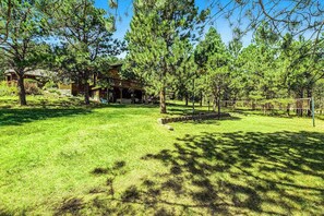 A lodge with a large open lawn, surrounded by tall pine trees, and a volleyball net. - 20-Acre Lodge • Hot Tub, Sauna • Dogs OK (Rapid City)