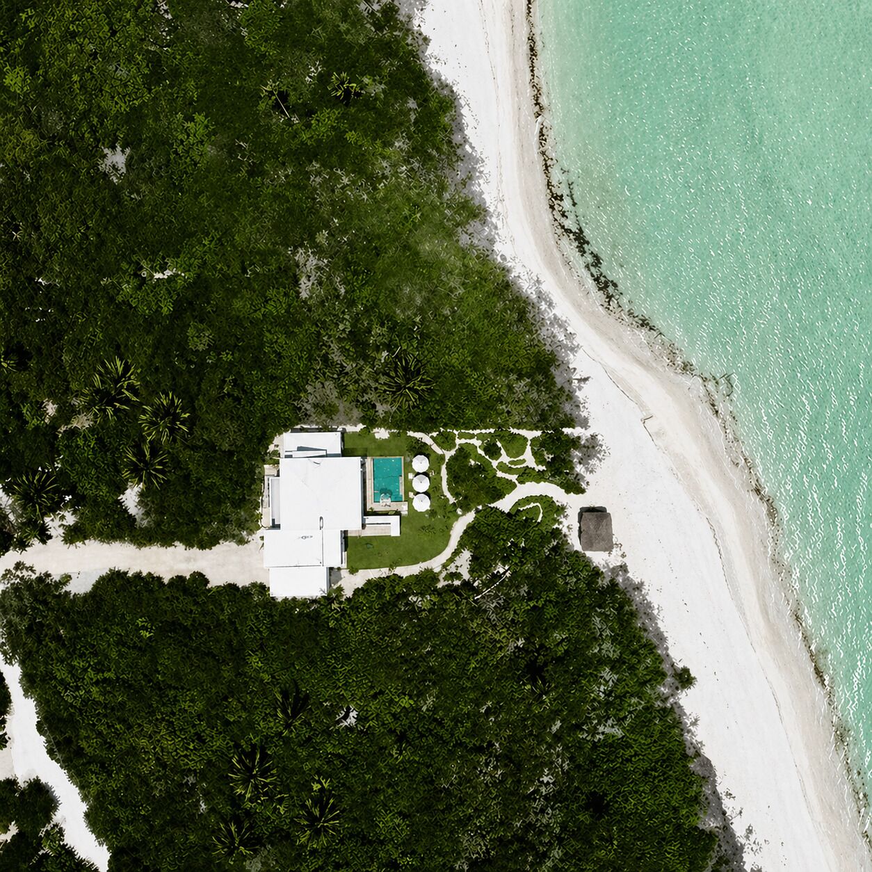 An aerial view of a property with a swimming pool, surrounded by dense greenery and a sandy beach.