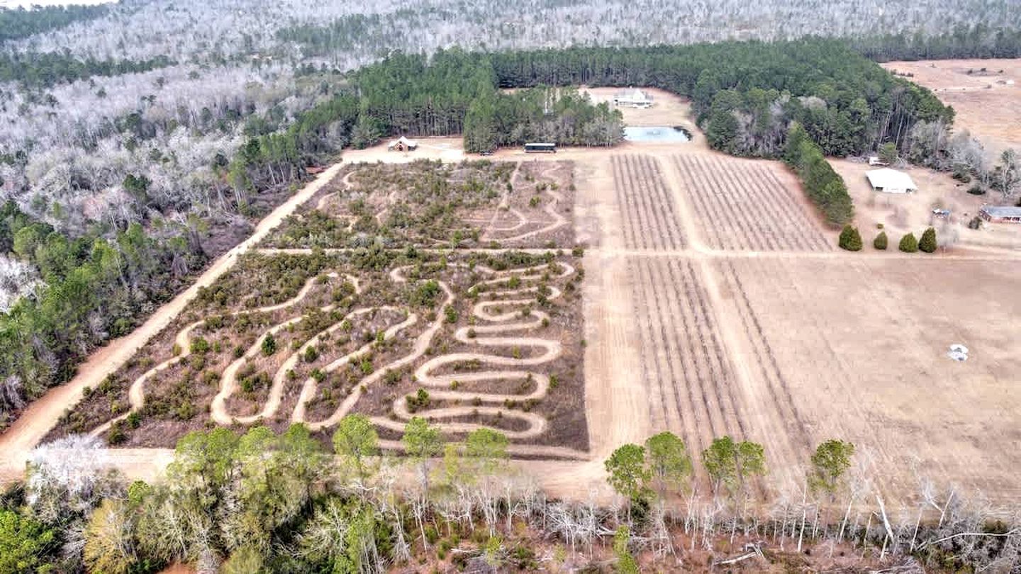 Vista aérea de uma propriedade com um vasto campo, um jardim labiríntico e uma área arborizada.
