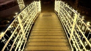 Un puente con barandilla de metal y luces.