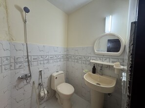 A bathroom with a toilet, a sink, a handheld showerhead, and a mirror.