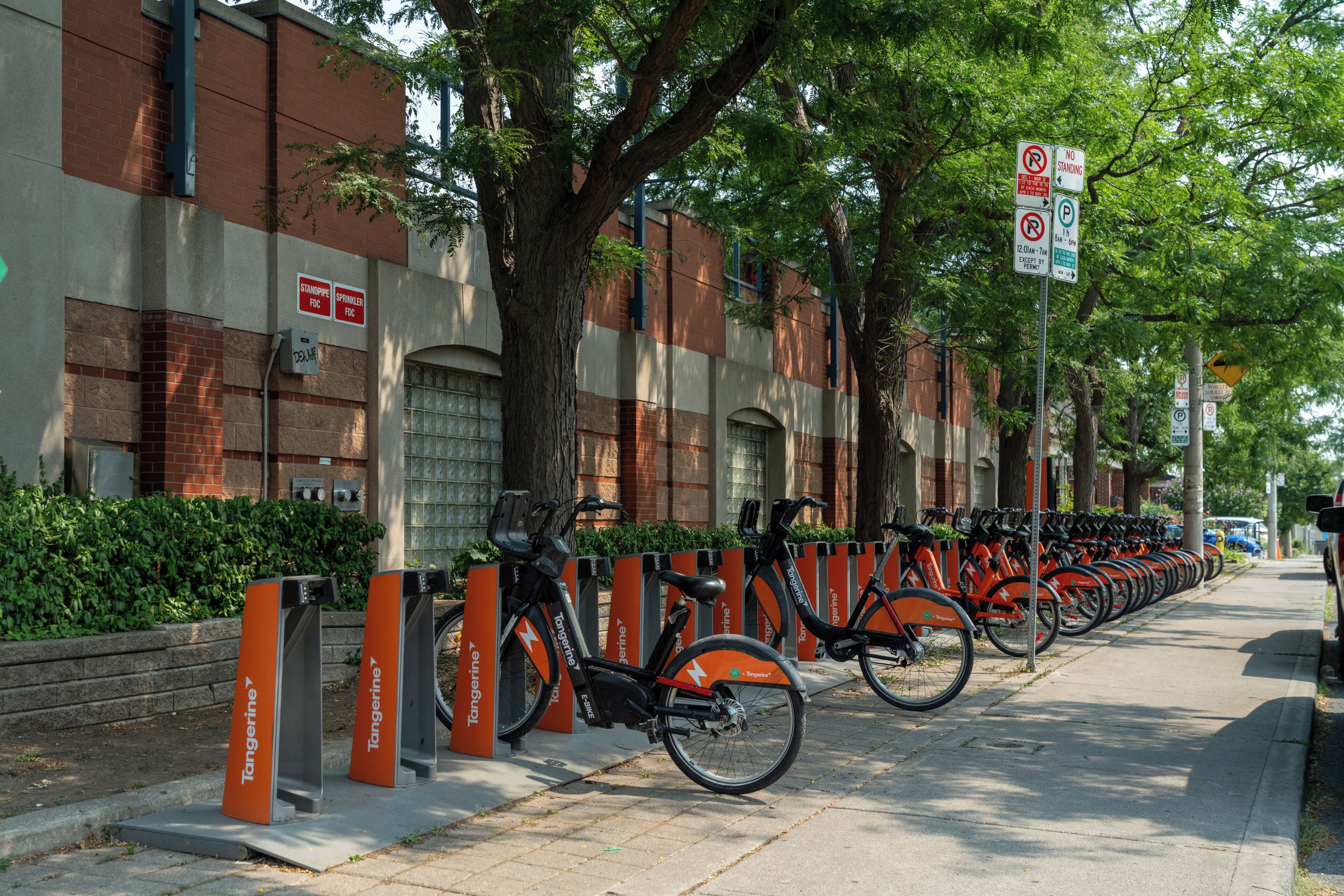 A row of bicycles parked along a sidewalk next to a building with signage indicating no parking and no stopping.