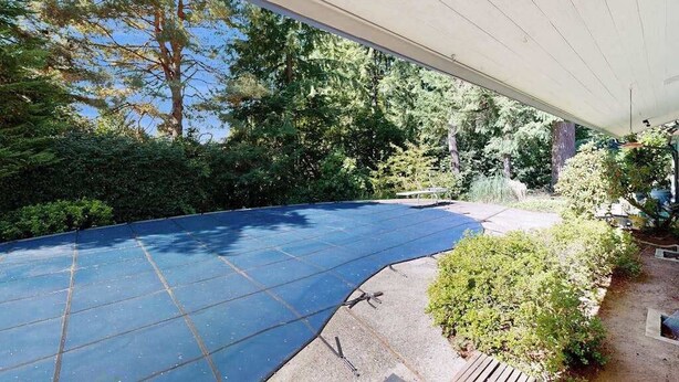 A covered outdoor area with a blue surface, surrounded by dense greenery and trees. - 3BR home with pool, patio, fireplace, WIFI (Portland)