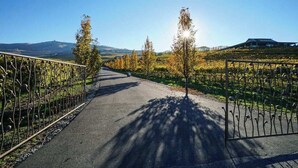 En anlagt sti kantet af metalhegn og træer, der fører hen mod en bygning i et kuperet landskab.