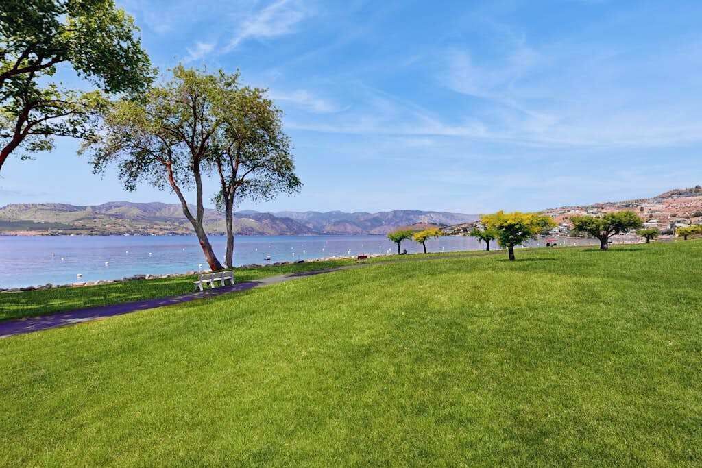 A grassy park area with trees and a body of water in the background.