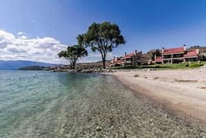 Ein Küsteneigentum mit klarem Wasser, einem Sandstrand und einem markanten Baum.