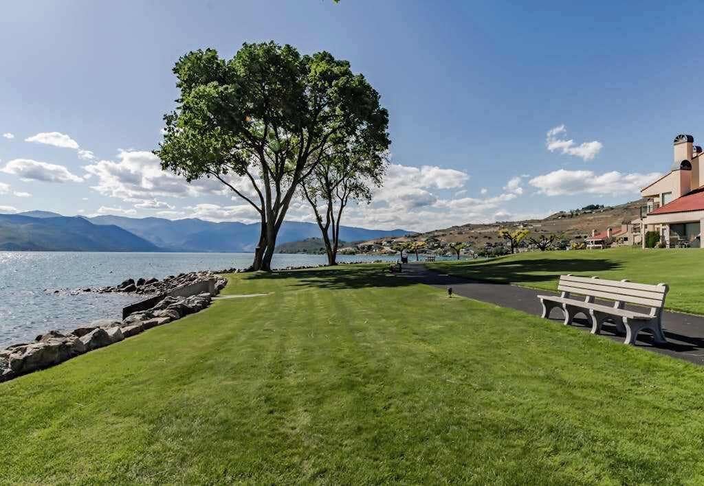 A grassy area with a bench and a tree, a body of water, and mountains in the background.