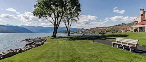 A grassy area with a bench and a tree, a body of water, and mountains in the background.