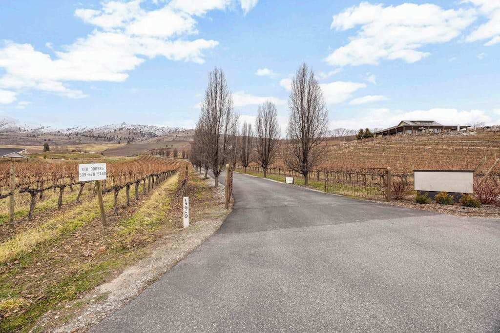 A vineyard with rows of grapevines, a paved road, and a building in the background.