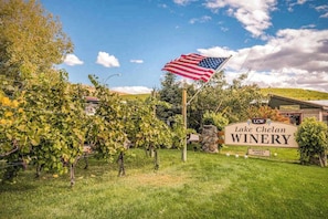A vineyard with a sign for Lake Chelan Winery.