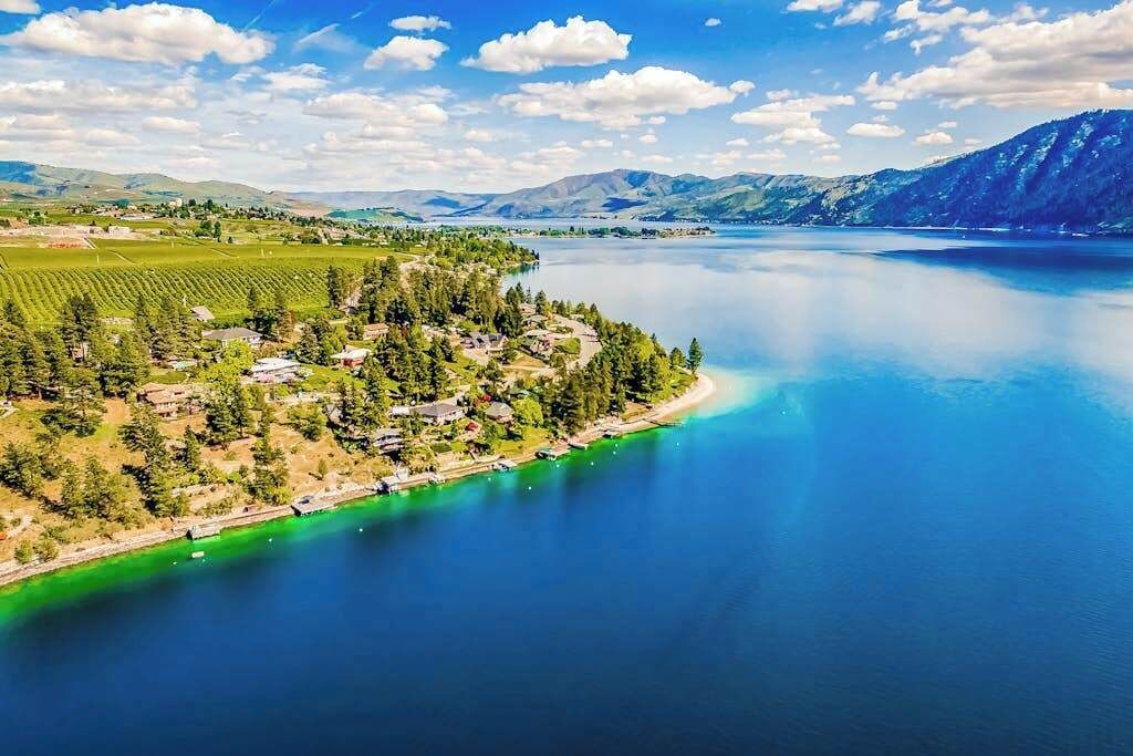 An aerial view of a lakeside property with a vineyard, houses, and a clear blue lake.