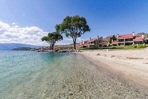 Ein Küstengebiet mit einem feinsandigen Strand, einem großen Baum und einem Gebäude mit rotem Dach.