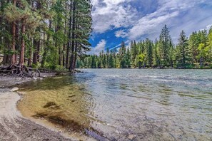 Ein Fluss mit klarem Wasser, umgeben von dichtem Wald und hohen Bäumen.