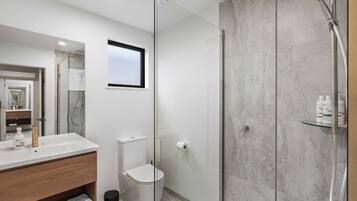 Shower, eco-friendly toiletries, hair dryer, towels