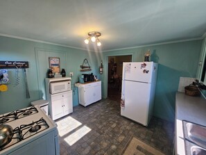 A compact kitchen with a gas stove, a microwave, a refrigerator, and a sink. There is a ceiling light fixture above the counter.