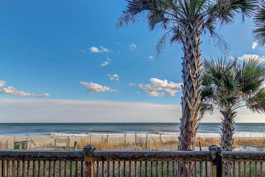 A beach view with a wooden fence, palm trees, and the ocean.