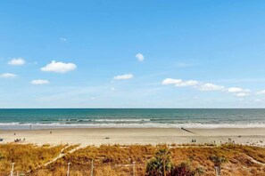 Ein Strand mit blauem Himmel, sandigem Ufer und grasbewachsenen Dünen.
