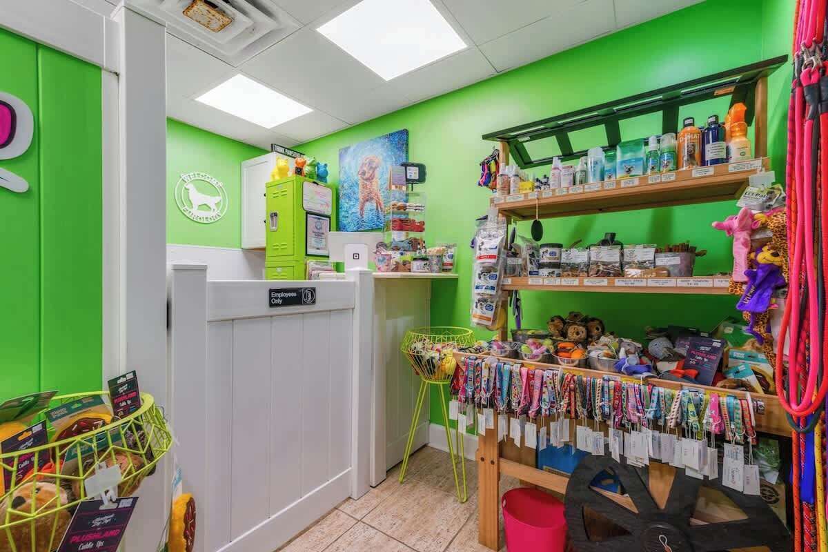 A brightly lit room with green walls, a white counter, and shelves stocked with various items including plush toys and bags.