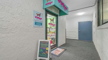 Salão de estética e creche para cães, com uma placa azul-turquesa, um anúncio em lousa e uma porta à direita.