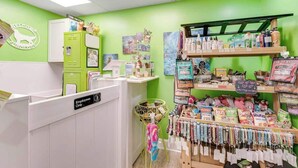 A pet grooming salon with a green wall, a reception desk, and shelves stocked with pet products. - Ocean Park Resort 0922 (Myrtle Beach)