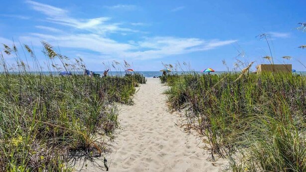 A sandy beach path with dense vegetation on either side, leading to the sea. - Lighthouse Corner Getaway (Myrtle Beach)