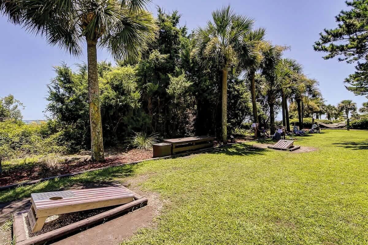 A well-maintained outdoor area with a grassy lawn, wooden benches, and tall palm trees.