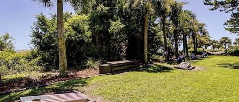 A well-maintained outdoor area with a grassy lawn, wooden benches, and tall palm trees.