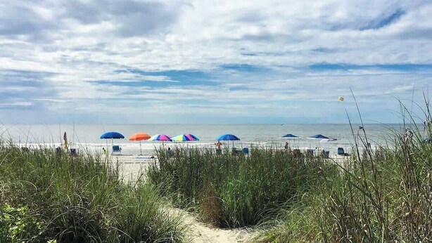 Ein Strand mit Sonnenschirmen und Dünen.