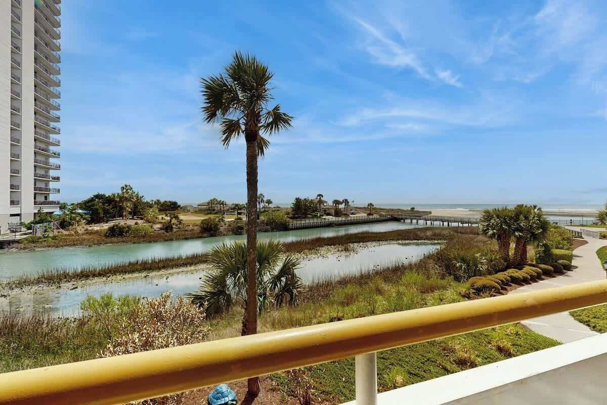 Une vue côtière avec un plan d’eau, des palmiers et un pont.