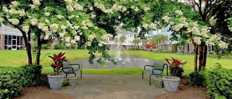 A park entrance with a fountain, benches, and a pathway leading to a building.