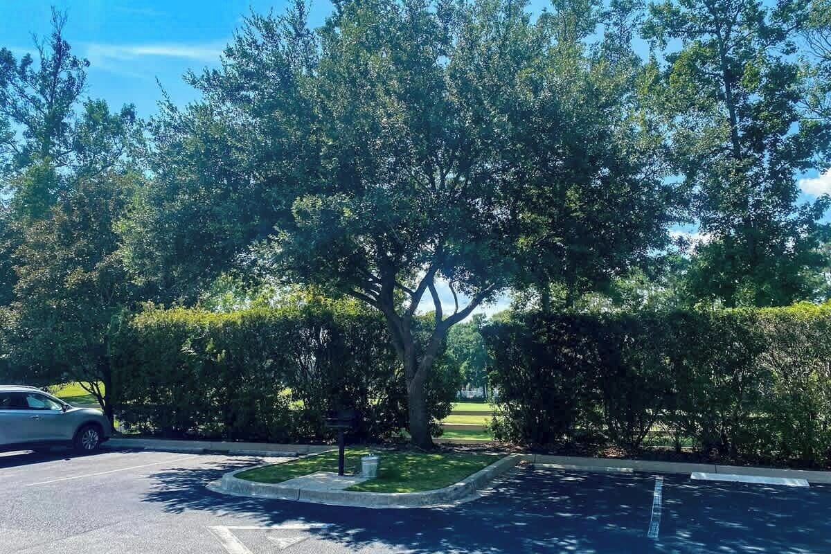 A parking lot with a tree and a grassy area.