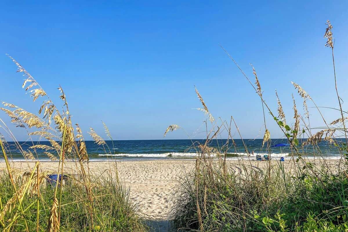 On the beach