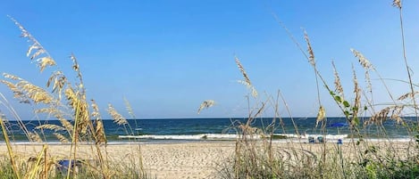 On the beach