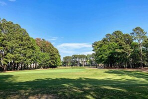 Ein Golfplatz unter blauem Himmel, umgeben von dichter Baumvegetation.