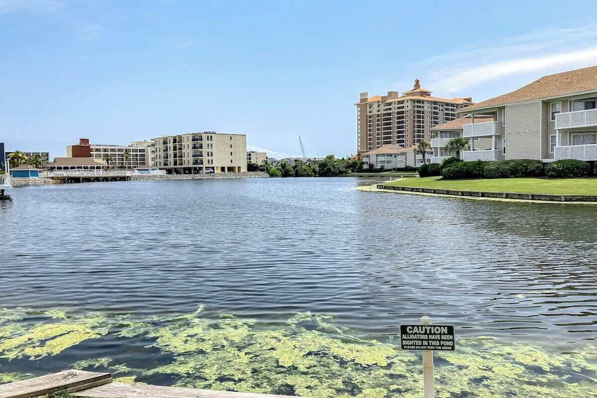 A body of water with a caution sign about alligators, buildings in the background, and a clear sky.