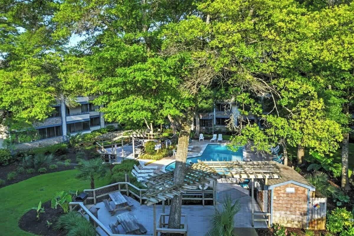 A resort with a swimming pool, lounge chairs, and a large tree providing shade.