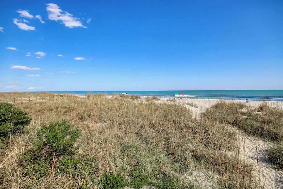 A beach with sand dunes and a clear sky.