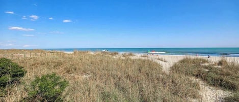 A beach with sand dunes and a clear sky.