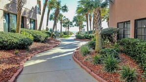 A pathway flanked by landscaped areas with palm trees and shrubs, leading to a building with large windows. - Palms Resort Unit 404 (Myrtle Beach)