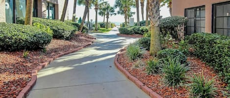 A pathway flanked by landscaped areas with palm trees and shrubs, leading to a building with large windows.