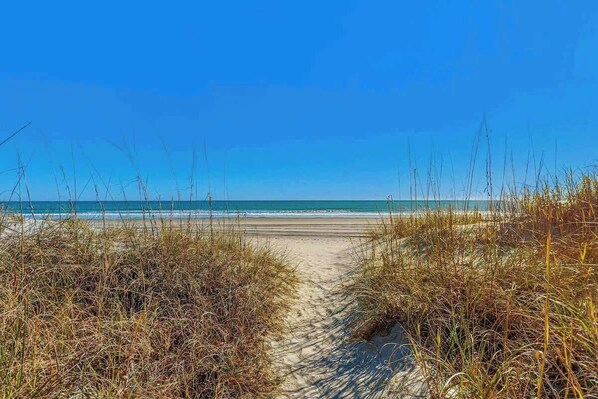 Een strandpad dat naar de oceaan leidt, met heldere lucht.