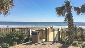 A paved pathway leading to a beach with a metal fence, a trash bin, and a palm tree. - Palace Resort Unit 1508 (Myrtle Beach)